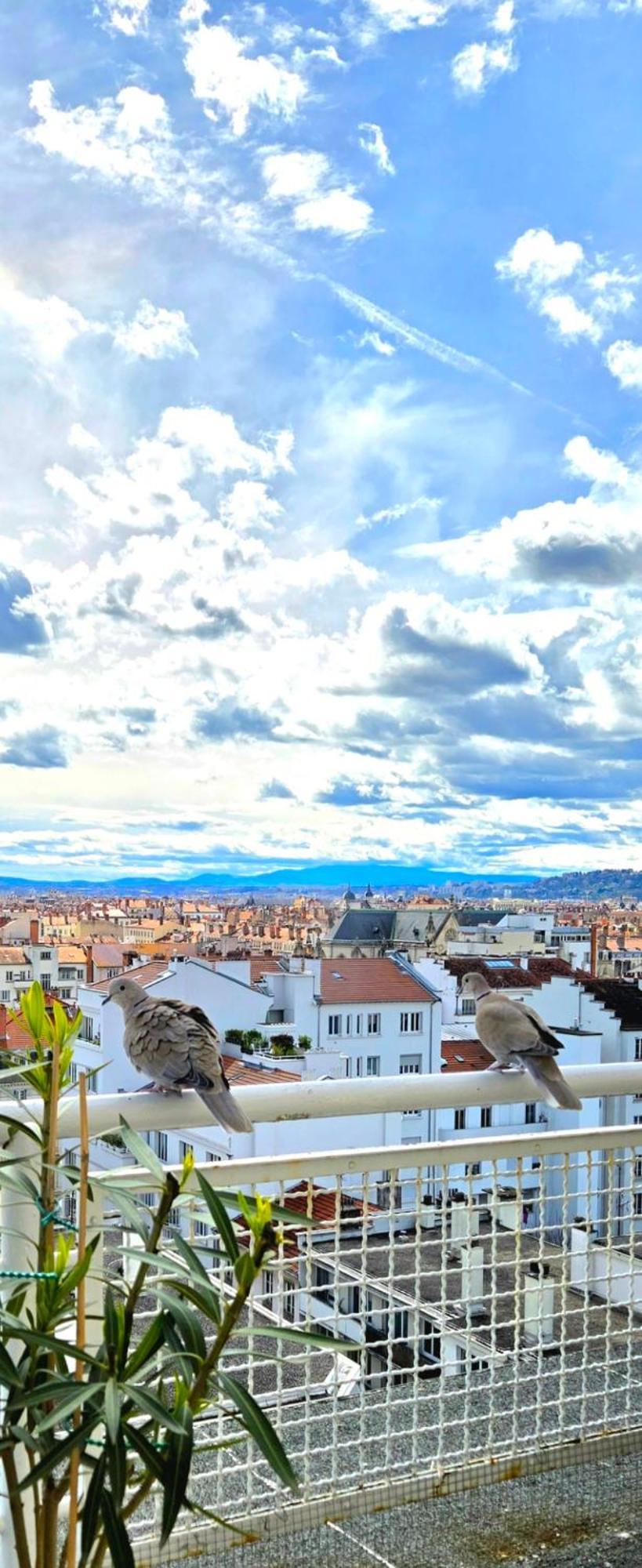 Plein Sud Terrasse Avec Vue Panoramique Climatisation Parking Lyon